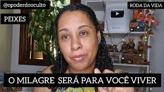♓️PEIXE☸️RODA DA VIDA☸️🔴FIM DO SACRIFÍCIO DE DEDICAÇÃO AO OUTRO☸️UM MURO VAI SER ERGUIDO☸️COLHEITAS