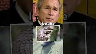 Presidents take African Animal Quiz... #ai #meme
