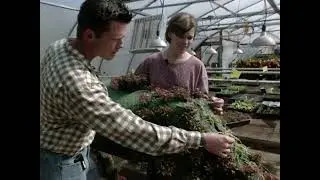 Vegetables Around the World Garden + Topiary