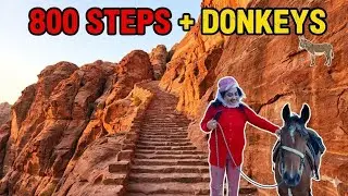 Is Petra Worth The Pain? Honest Review of the Treasury, Monastery, and Hotel