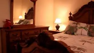 MajorsatLelyResort