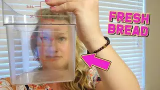 Stop Overproofing Your Sourdough With this Food Storage Container!