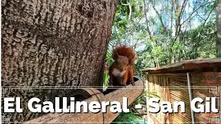 🐿️🏞️PARQUE EL GALLINERAL- SAN GIL 2023🐿️🏞️