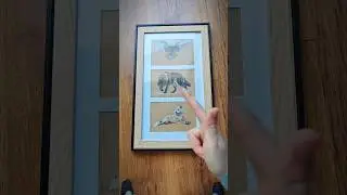 Wolfs and raven #drawingreveal #framedart #sketches #crow #triptych