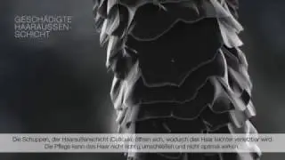 Wirkweise Olaplex - Hairkult