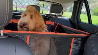 Pecute Extra Stable Dog Car Seat | Pet car seat with hard bottom