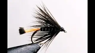 La Black pennel