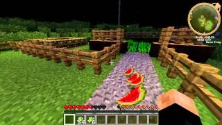 Suvival Realm #001 | Introduction