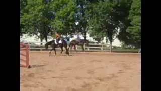 STANDING AT STUD:  WAIT A DARN MINUTE