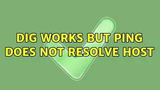 dig works but ping does not resolve host