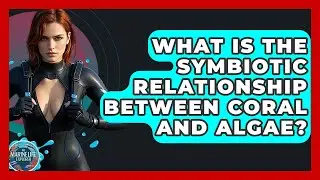 What Is The Symbiotic Relationship Between Coral And Algae? - The Marine Life Explorer