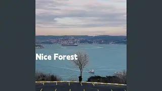 Nice Forest