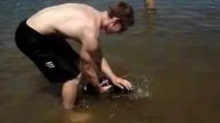Dog Swim Lessons