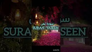 Surah Yaseen complete without ads || سورة يس قاري عبد الباسط عبد الصمد 