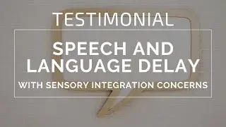 Success Story: Speech and Language Delay with Sensory Integration Concerns