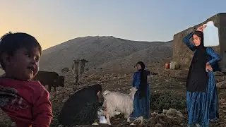 Iranian Nomadic Life: Nomadic Girls' Brutal Battle for Survival in the Wilderness During Wartime