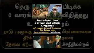 A welcome thing 🫡#india #tamilnadu #chenani #avadi