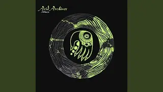Acid Archives, Vol. 2