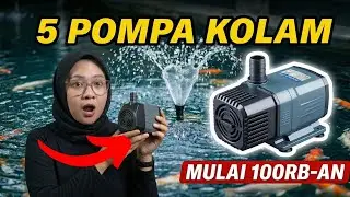 5 Rekomendasi Pompa Kolam Celup Terbaik & Murah 2026 (Low Watt & Awet!)