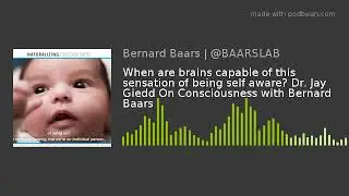 When are brains capable of this sensation of being self aware? Dr. Jay Giedd On Consciousness with B