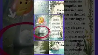 El Cisne y el Lago Olvidado 🦢✨ Cuento Animado M&aacute;gico para Toda la Familia parte 1