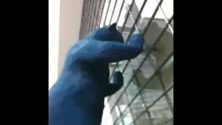 Big Blue Bear in Denver