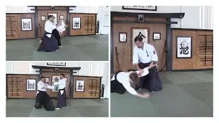 Aiki Lab: Yokomenuchi Ikkyo