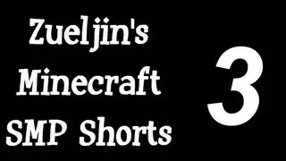 Zueljin's Minecraft SMP Shorts - Part 3 - iTzTrebbz Base Tour