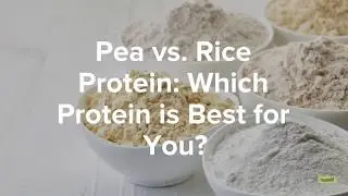 Pea vs. Rice Protein: Which Protein is Best for You?