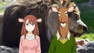 (Murenase! Seton Gakuen) King Shishino x Shiho Ihara - Rude