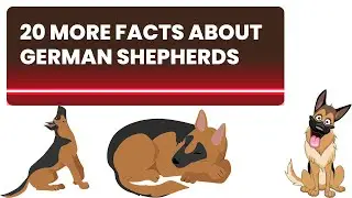 20 More German Shepherd Facts That You Need To Know