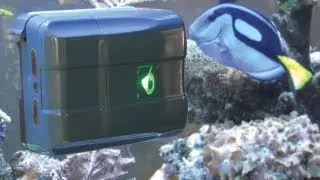 RoboSnail Product Review by RobotShop.com
