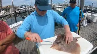 I'm Back! Flounder fishing turns into....Skate on the Menu?! #CatchandClean