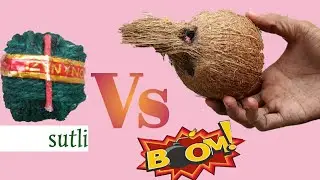 Sutli Vs Coconut