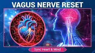 Vagus Nerve Reset -Sync Heart & Mind - Stress Relief & Nervous System Healing - 528 Hz