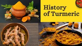 History of Turmeric | Unlock the Secrets of Turmeric's Past!