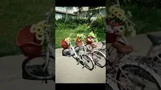 YASHICA disposable film camera film reveal