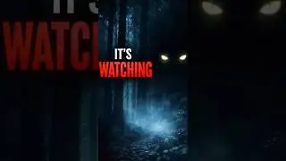 One of the Most Haunted Forests in the World 😨terrifyingtales #nightmarenarratives #horrorfiction