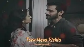 Tera Mera Rishta song| slowed Revereb| love romantic song| lofi song| hindi song| mind relaxing song