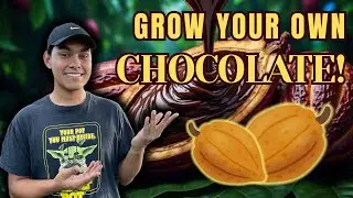 Grow Your Own CHOCOLATE!🍫🌿S:3, Ep.62//The Ultimate Gardener