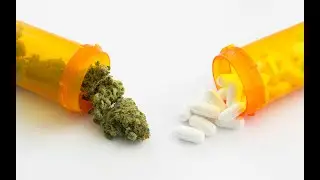 A Podheads Interview: The Oracle Rios Badu Pt 4: Wrestling, Pain Pills, Cannabis, and the Law