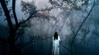 Rain On Witch Forest
