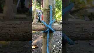 Proved to be an Easy Knot 💯 #knot #knottying #shortvideo