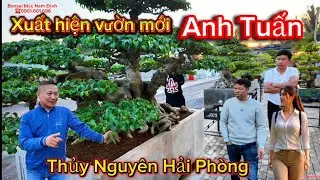 Lần đầu xuất hiện Khu vườn mới anh Tuấn nhiều tác phẩm quý 090.4455.886