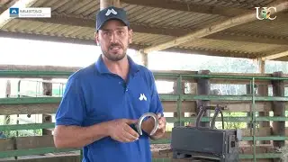 TV UC - Dicas para ferradura de alumínio St Croix