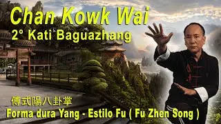 Shaolin do Norte   Chan Kowk Wai   Baguazhang 2 Estilo Fu
