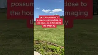 3 MISTAKES TO AVOID WHEN BUYING LAND