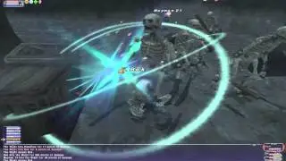FFXI Assault Wake The Puppet