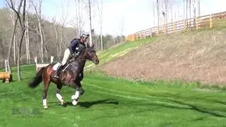 Beau Guimond & Filibuster ST The Fork CIC & Horse Trials at TIEC 2017