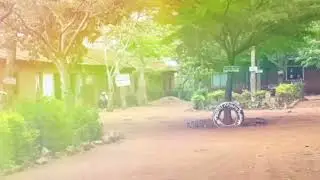 🇹🇿 &ldquo;The Youth of Tanzania: Rise, Resist & Reclaim&rdquo; | 2025 Election & Protest